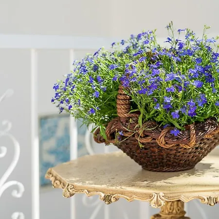 Casa Da Avo By Ammonite&co Vakantiehuis Olhão