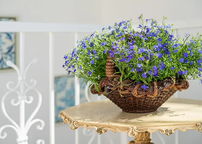 Casa Da Avo By Ammonite&co Casa de Férias Olhão